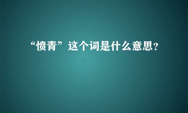 “愤青”这个词是什么意思？
