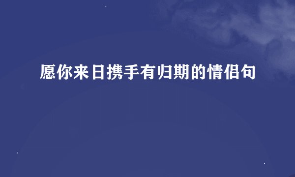 愿你来日携手有归期的情侣句