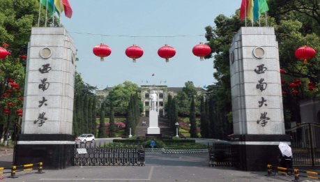西南大学是考研重灾区吗？