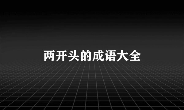 两开头的成语大全