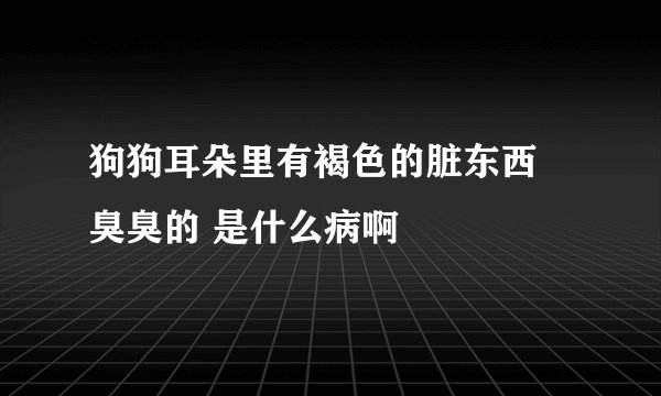 狗狗耳朵里有褐色的脏东西 臭臭的 是什么病啊