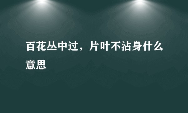 百花丛中过,片叶不沾身什么意思
