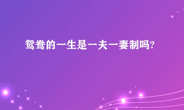鸳鸯的一生是一夫一妻制吗?