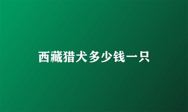 西藏猎犬多少钱一只