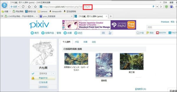 p站的作品id要怎么用?