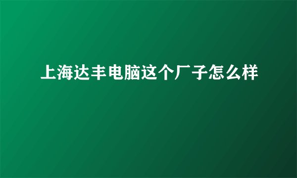 上海达丰电脑这个厂子怎么样