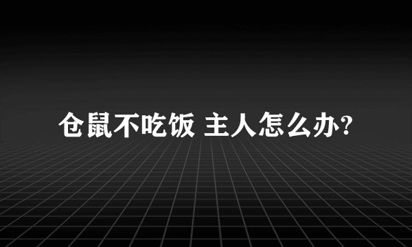 仓鼠不吃饭 主人怎么办?