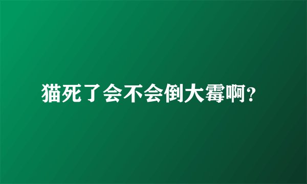 猫死了会不会倒大霉啊？