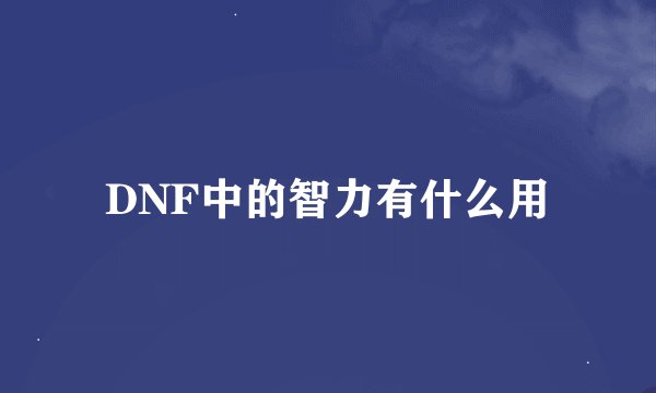 DNF中的智力有什么用
