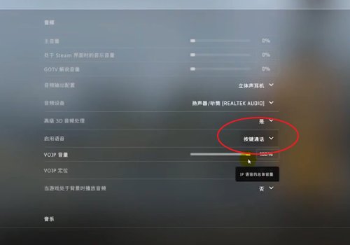 csgo怎么在游戏里说话？