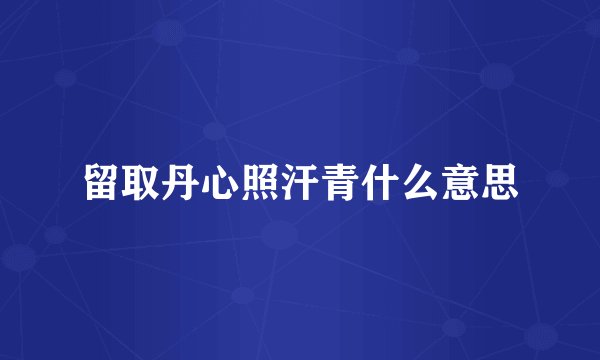 留取丹心照汗青什么意思