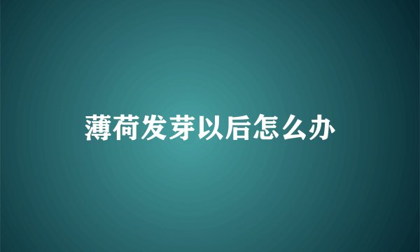 薄荷发芽以后怎么办