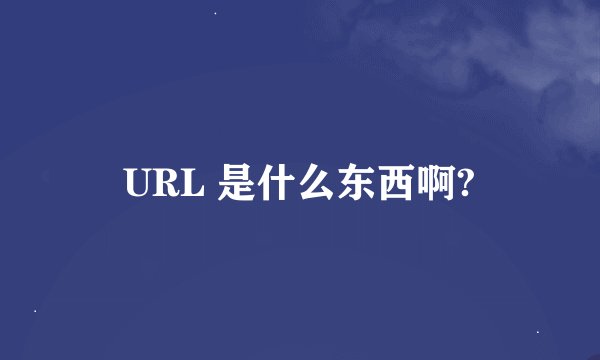 URL 是什么东西啊?