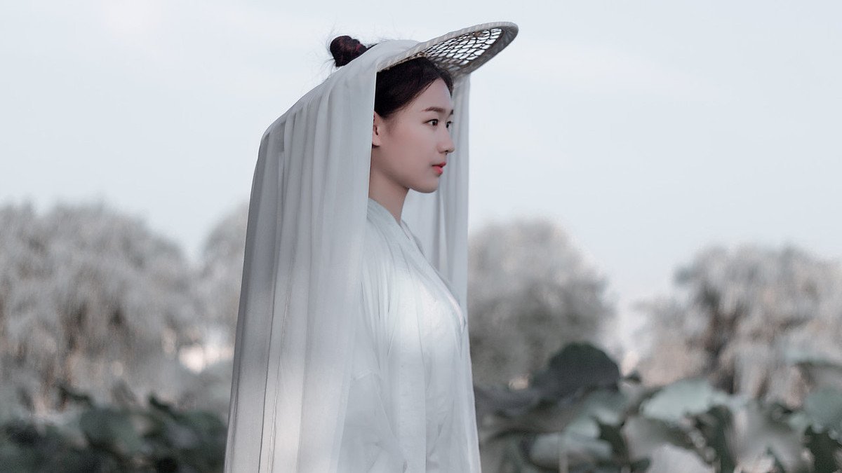 何时看南雪,我与梅花两白头的全诗