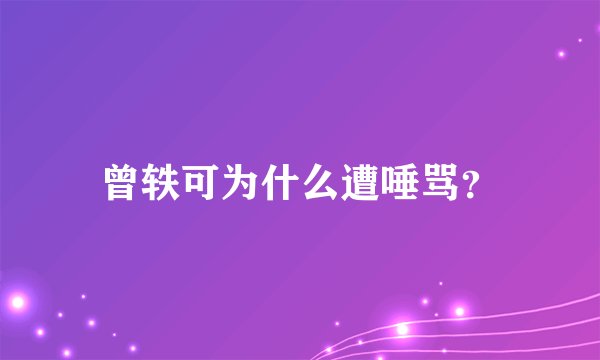 曾轶可为什么遭唾骂？