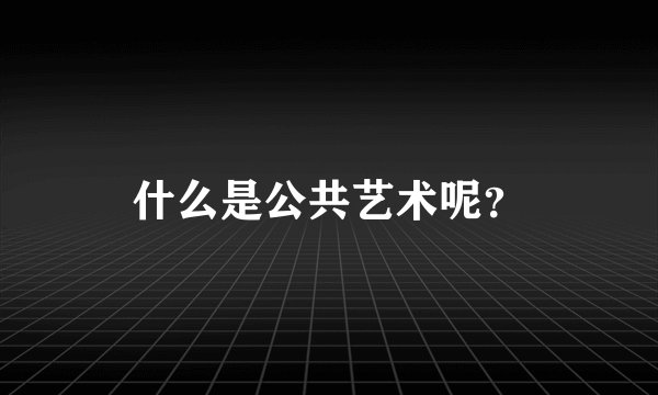 什么是公共艺术呢？