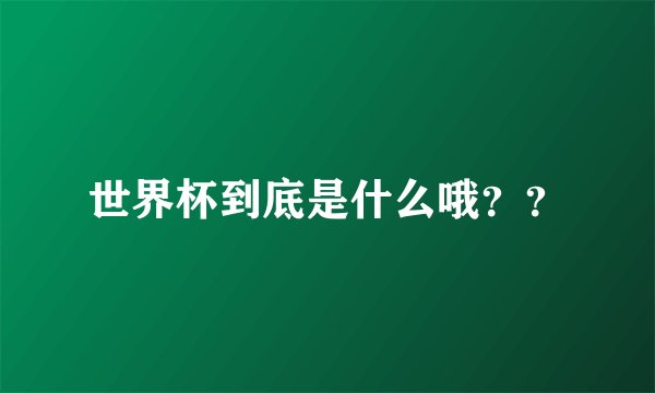 世界杯到底是什么哦？？