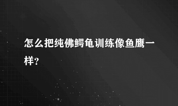 怎么把纯佛鳄龟训练像鱼鹰一样？