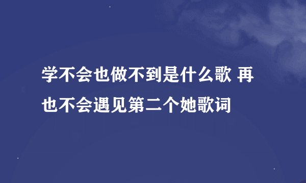 学不会也做不到是什么歌 再也不会遇见第二个她歌词