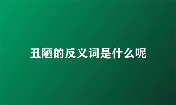 丑陋的反义词是什么呢