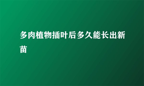 多肉植物插叶后多久能长出新苗