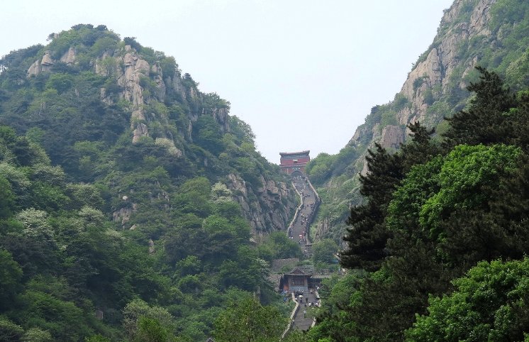 泰山怎么说？