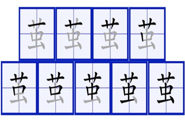 带有草字头的字大多与什么有关？