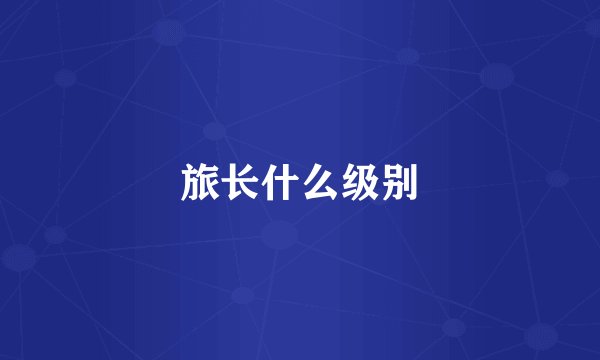 旅长什么级别