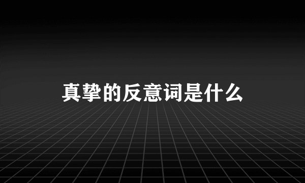 真挚的反意词是什么