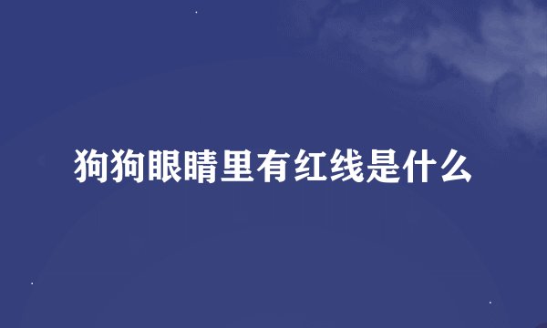 狗狗眼睛里有红线是什么