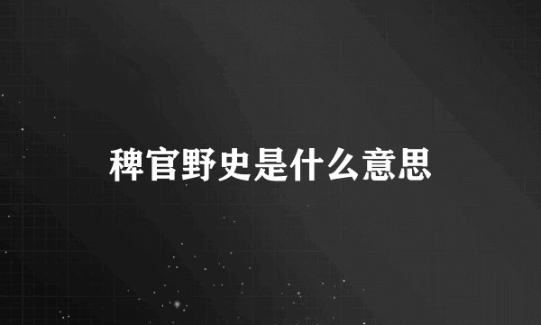 稗官野史是什么意思