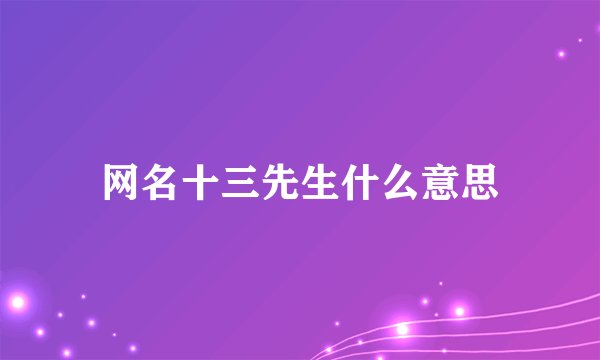 网名十三先生什么意思