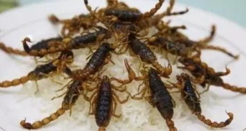 吃油炸蝎子的好处和坏处是什么？