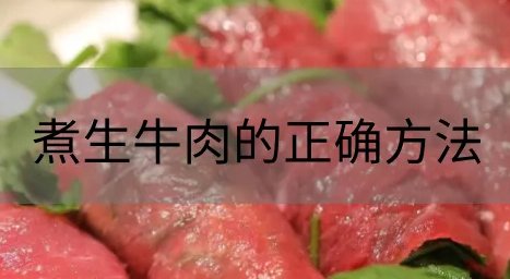 煮生牛肉怎么做最好吃啊？
