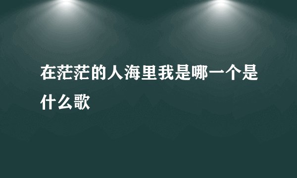 在茫茫的人海里我是哪一个是什么歌