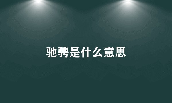 驰骋是什么意思