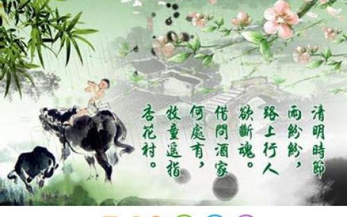 必剩客的春天的介绍