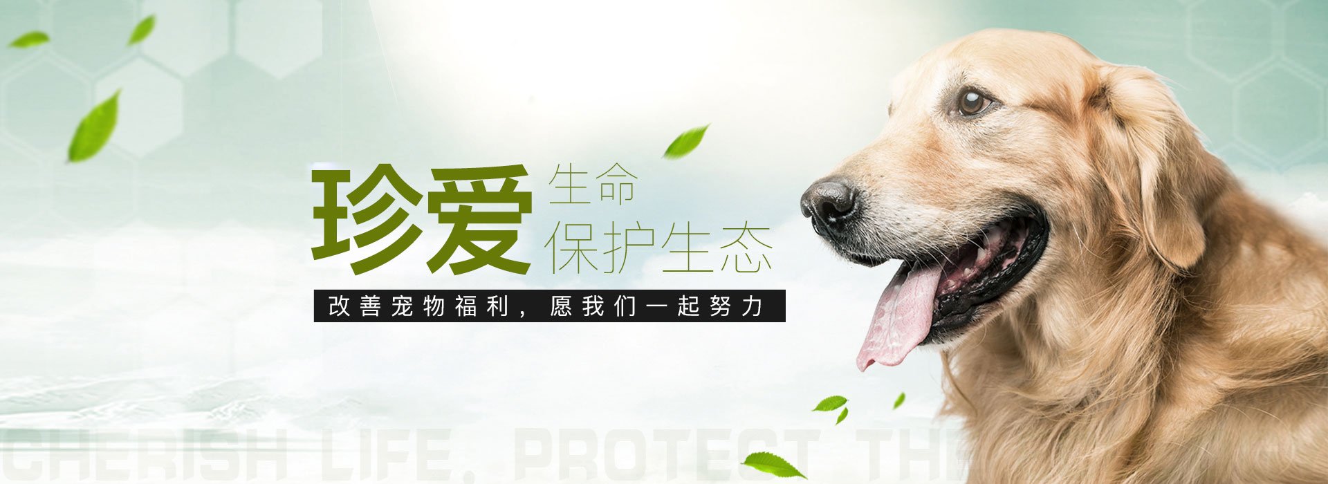 狗狗拉稀像泥浆很臭怎么回事？
