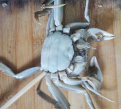 香辣蟹的螃蟹怎么杀