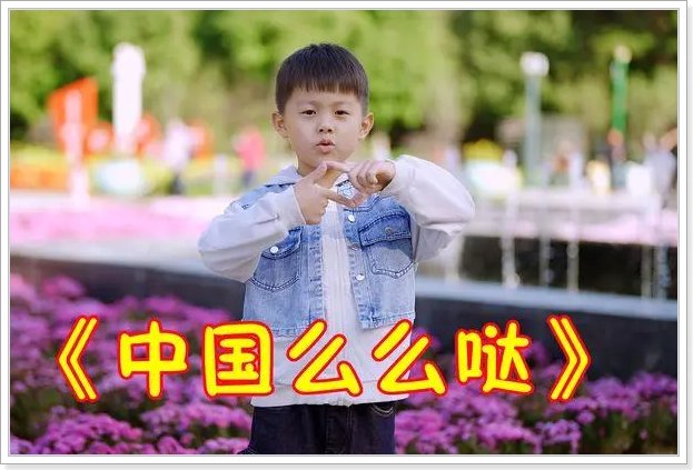 抖音最火十首爱国歌曲