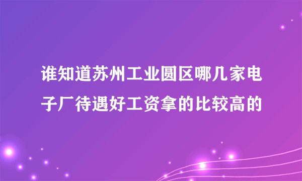 谁知道苏州工业圆区哪几家电子厂待遇好工资拿的比较高的