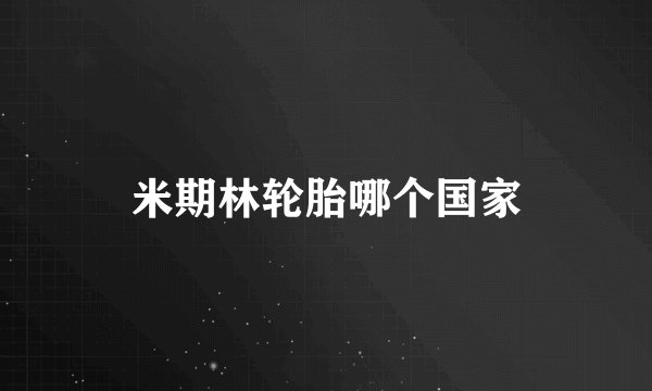米期林轮胎哪个国家