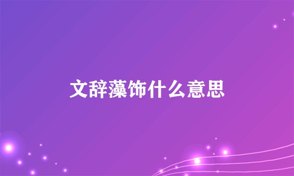 文辞藻饰什么意思