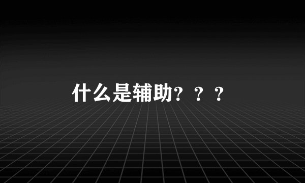 什么是辅助？？？