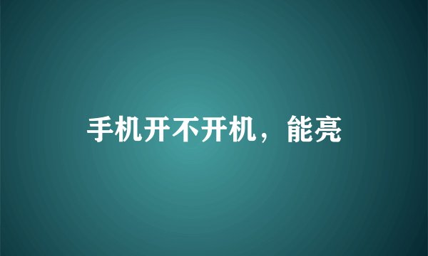 手机开不开机，能亮
