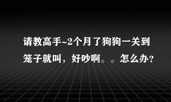 请教高手~2个月了狗狗一关到笼子就叫,好吵啊。。怎么办?