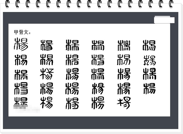 杨字的笔顺怎么写