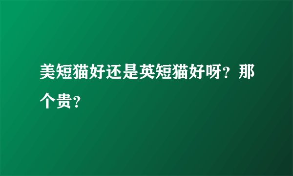 美短猫好还是英短猫好呀？那个贵？
