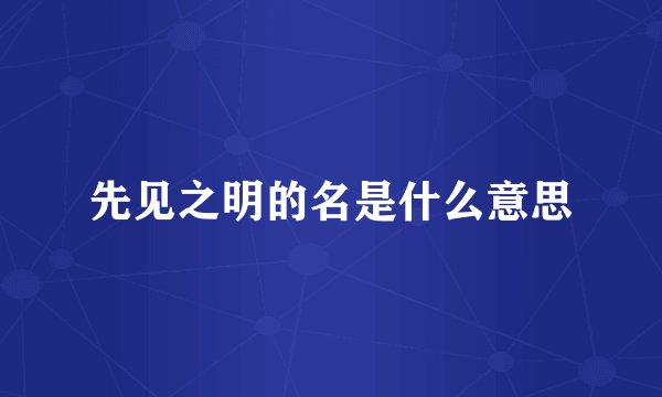先见之明的名是什么意思