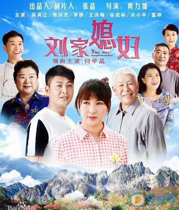 电视剧刘家媳妇一共多少集？